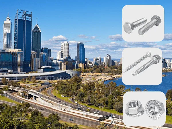 Stainless Steel Screws in Australia