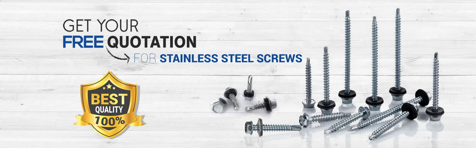 Stainless Steel Screws