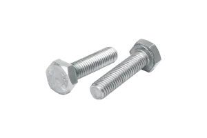 Stainless Steel Screws