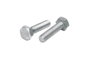 Stainless Steel Hex Bolts