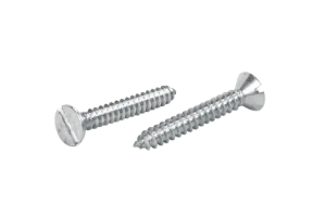 Stainless Steel Self Tapping Screws in Ahmedabad