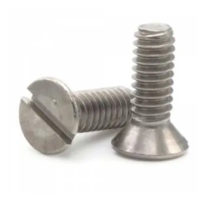 SS Machine Screws