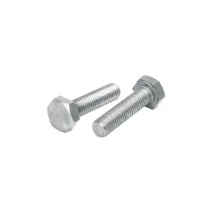 Stainless Steel Screws in Ahmedabad, Gujarat